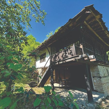 Guest house Cana Mihova Boženci Exteriér fotografie